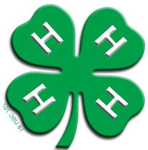 4-H logo